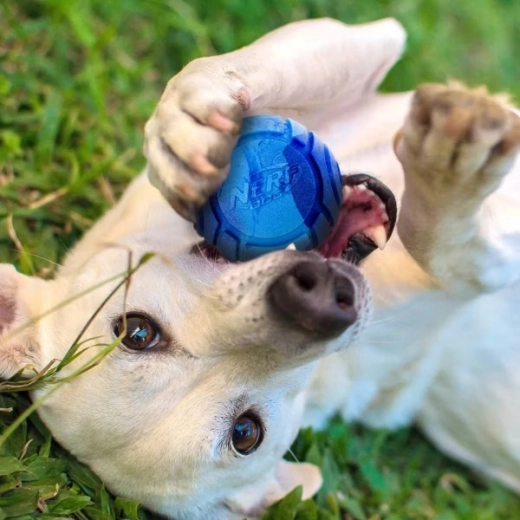 Miris koji poziva na igru