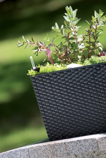 Stilizirani ratan dizajn za unutra i van