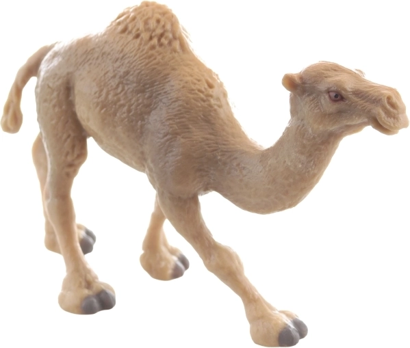 Izdržljiva plastika i stabilan stav