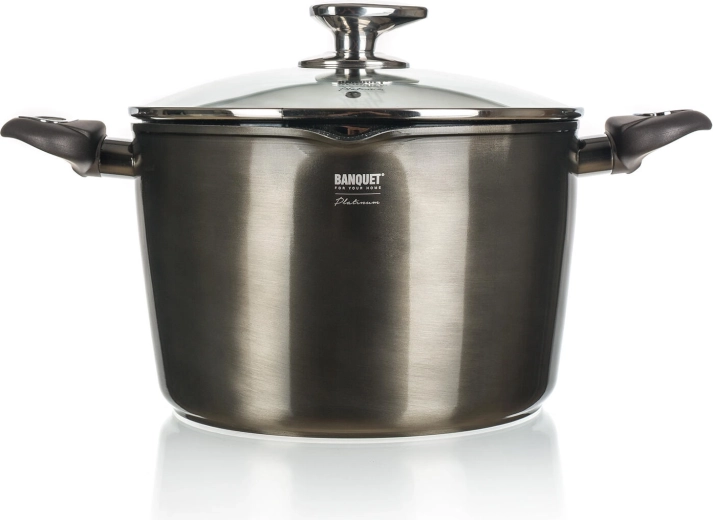 Lonac s neprianjajućom površinom 6,2 l METALLIC PLATINUM, 24 cm sa staklenim poklopcem