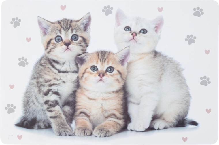 Plastični dječji podmetač sa životinjama 43,5 × 28,5 cm