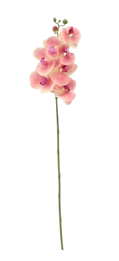 Duljina 74 cm za elegantno aranžiranje