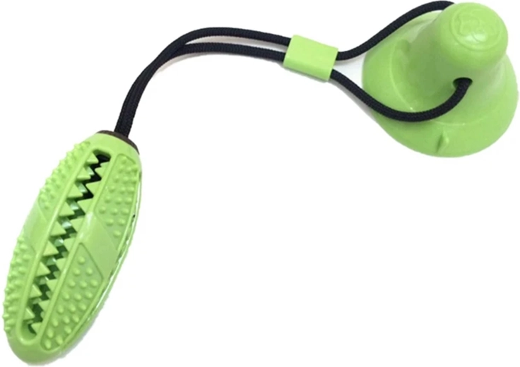 Čišćenje zubi i masaža desni