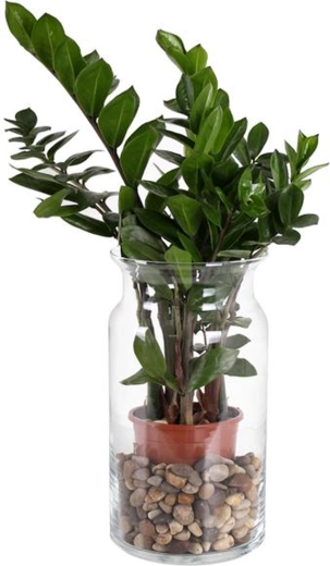 Staklena vaza Bose 15,5 × 29,5 cm