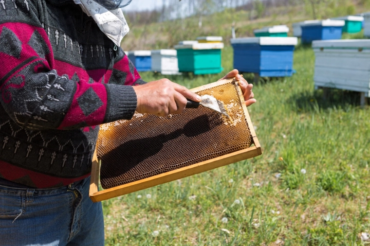Brži rad u pčelinjaku
