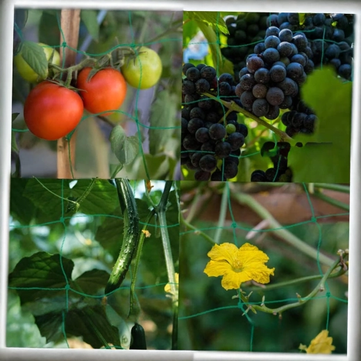 Univerzalna primjena u vrtu i stakleniku