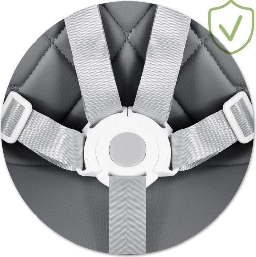 Maksimalna sigurnost s pojasom u 5 točaka