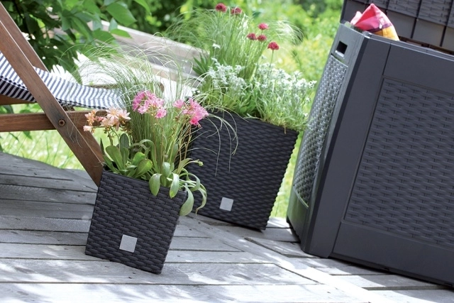 Stilski ratan izgled za svaki prostor