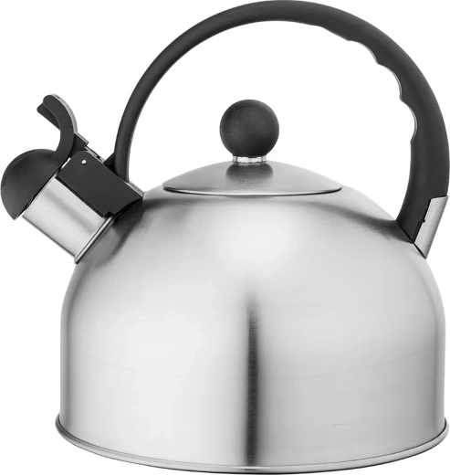 Nehrđajući čajnik Daily satin 2,5 l