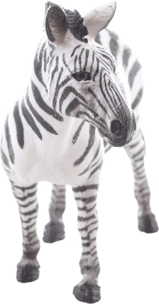 Idealno za nastavu i kolekcije