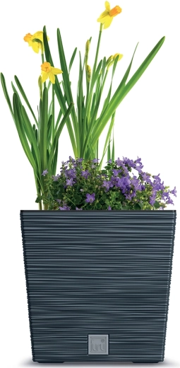 Za biljke u zatvorenom i na otvorenom