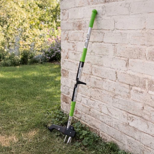 Kandže koje drže i snažne korijene