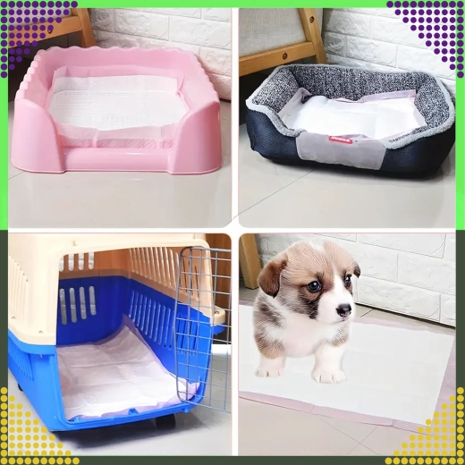 Svestrana uporaba kod kuće i na putu