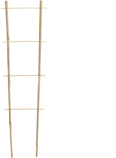 Bambusova vrtna potpora 90 × 35 cm, promjer 10/12 mm