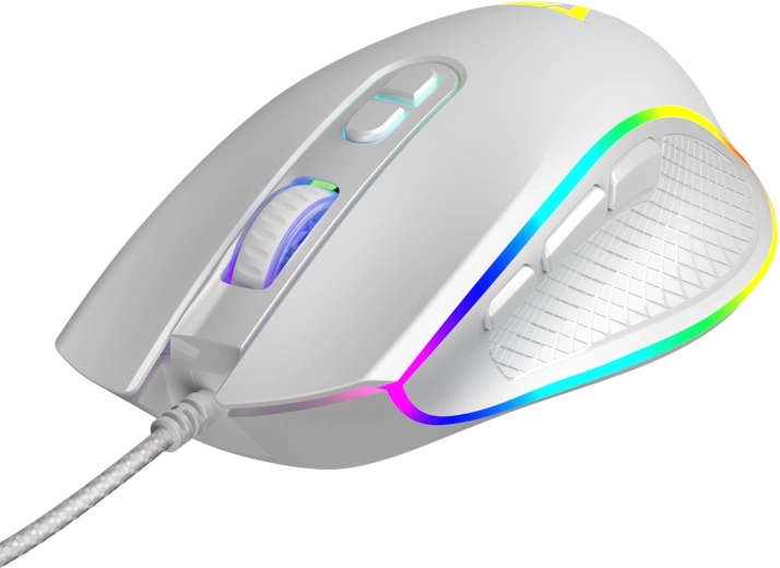 Ergonomija i RGB stil