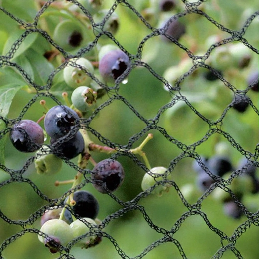 Pouzdana zaštita uroda i biljaka
