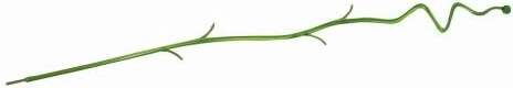 Potpora za orhideje COUBI 4,2 × 60 cm – miks prozirnih boja