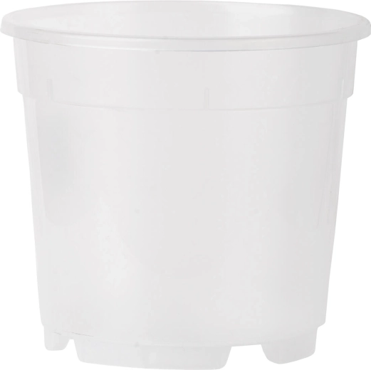 Prozirna tegla za orhideje 14 cm, 1,25 l