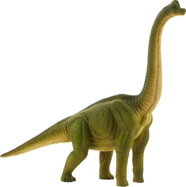 Mojo veliki Brachiosaurus