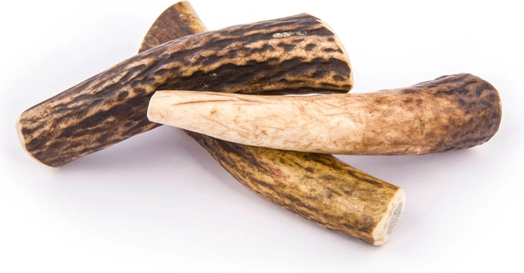Dugotrajno žvakanje bez mirisa