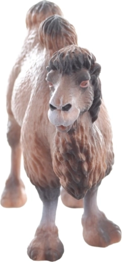 Izdržljiva plastika i stabilan stav