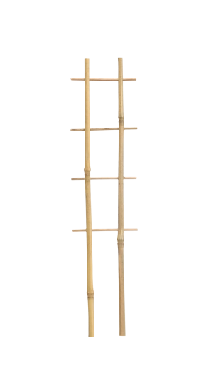 Bambusova dvostruka potpora za biljke 37 cm