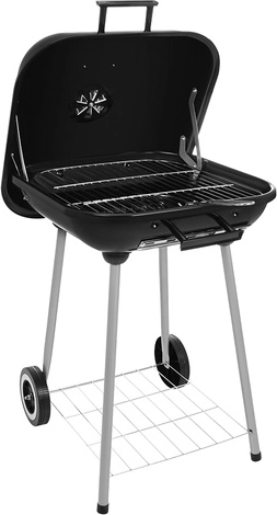 Mobilnost i praktično odlaganje