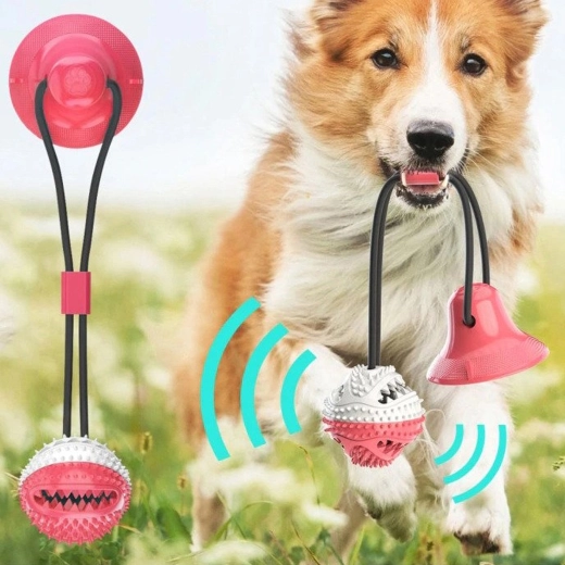 Zdravi zubi i desni pri svakoj igri