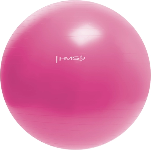 Gimnastička lopta HMS 55 cm ružičasta