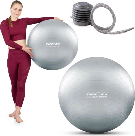 Gimnastička lopta 65 cm srebrna s pumpicom