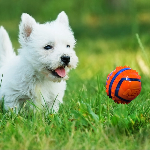 Visoka vidljivost pri igri na otvorenom