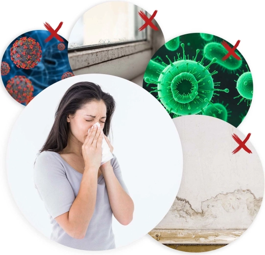 Učinkovito smanjenje vlage i zaštita od plijesni