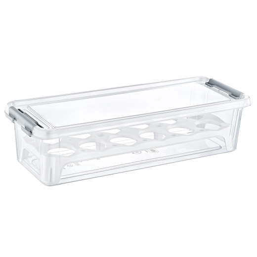 Pravokutna plastična kutija za 12 jaja bez BPA