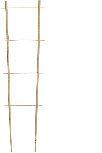 Bambusova vrtna potpora – ljestve 120 × 35 cm, promjer 10/12 mm