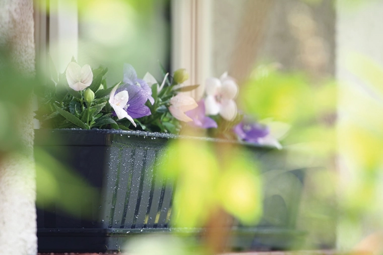 Elegantni antracit za svaki eksterijer