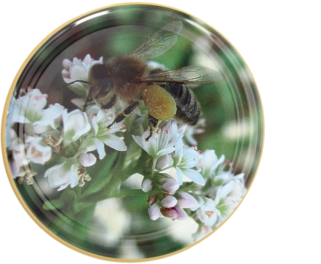 Set poklopaca Twist-off 82 mm s motivom pčele – 10 kom