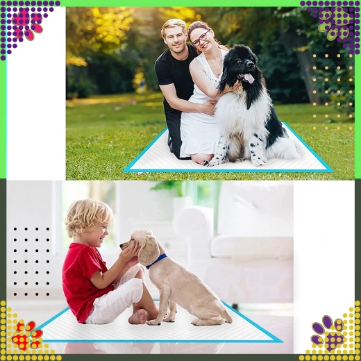 Čistoća i jednostavna upotreba