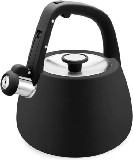 Zviždućuća inox čajnik 2,5 l MAESTRO