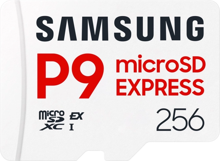 Memorijska kartica microSD P9 Express 256 GB