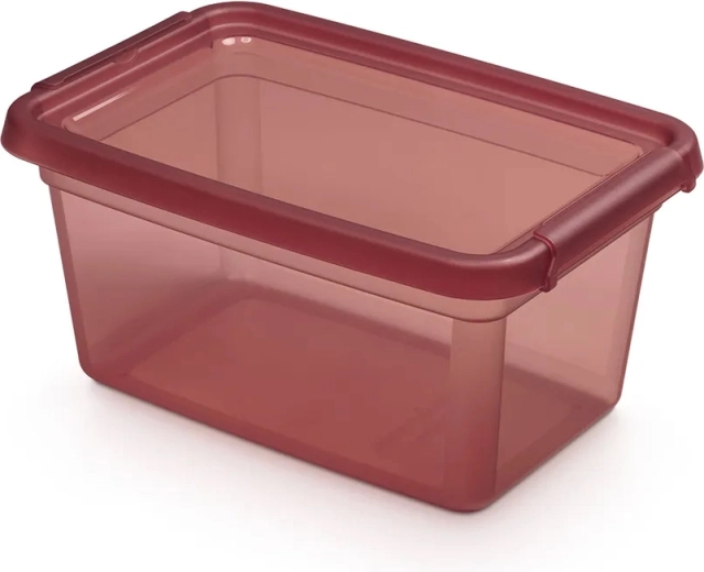 Basestore spremnik za pohranu s poklopcem i kopčama 4,5 l rhubarb