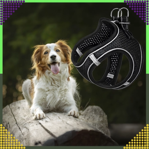 Visoka vidljivost zahvaljujući reflektirajućim elementima