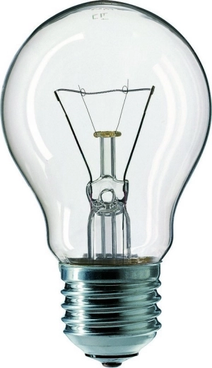 Žarulja E27 40 W 240 V prozirna TES-LAMP