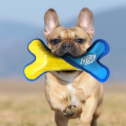 Visoka vidljivost za igre na otvorenom