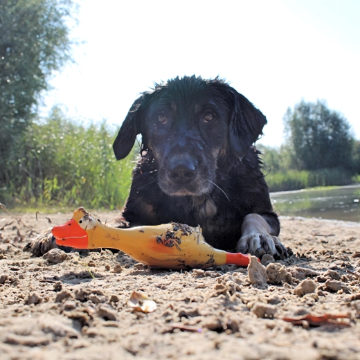 Jarko žuta boja za lako pronalaženje