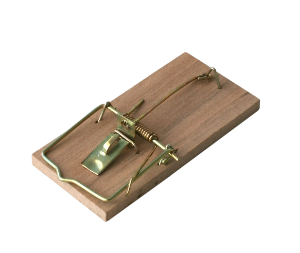 Drvena klopka za miševe BROS, 2 kom