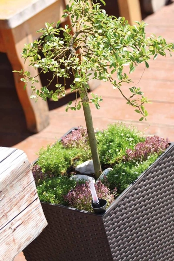 Praktični unutarnji uložak za brzu sadnju