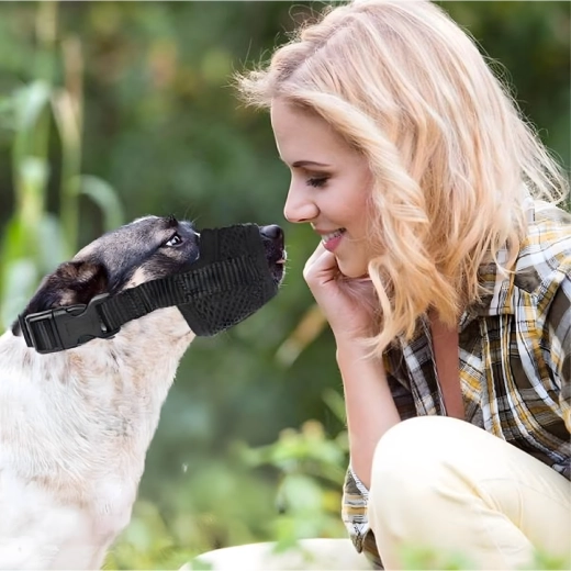 Sigurnost pri treningu i kod veterinara