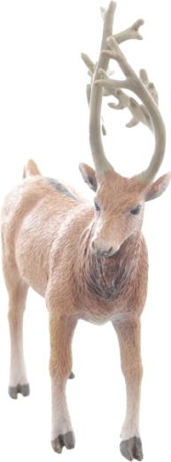 Idealna veličina za malu ruku