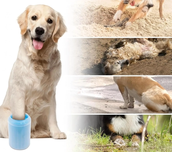 Čist automobil i pod nakon svake šetnje