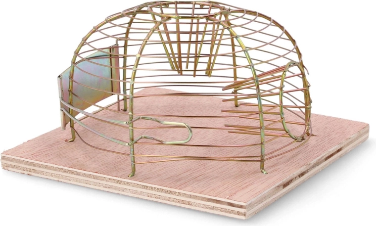 Humano i sigurno hvatanje